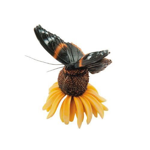 Butterfly Magnets