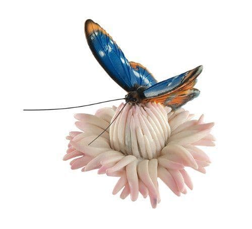 Butterfly Magnets