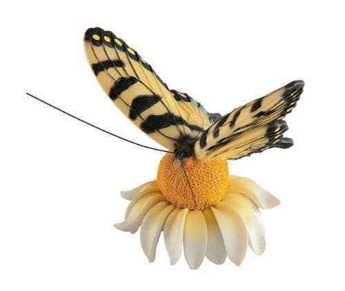 Butterfly Magnets