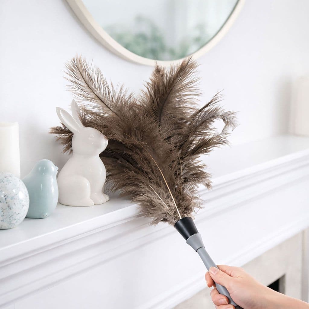 Ostrich Feather Duster with Extendable Handle