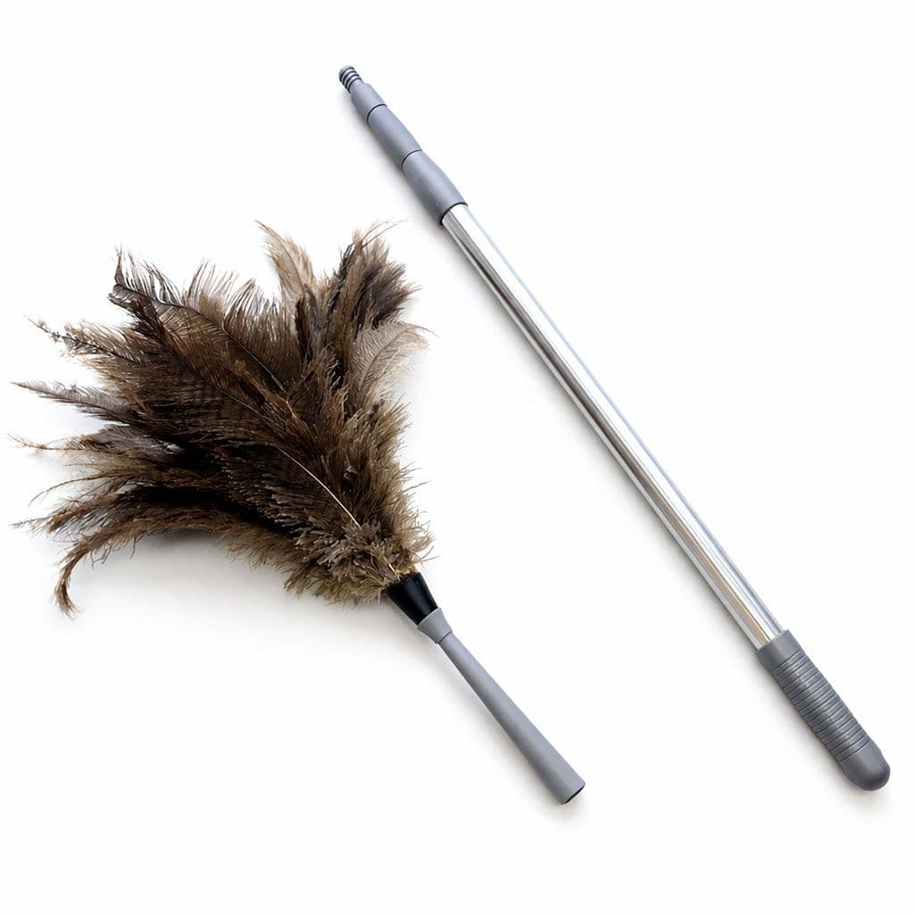Ostrich Feather Duster with Extendable Handle