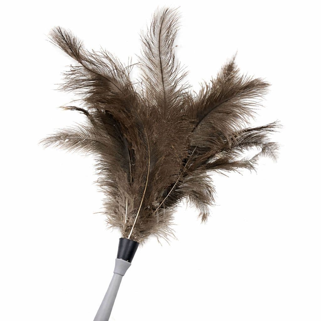 Ostrich Feather Duster with Extendable Handle