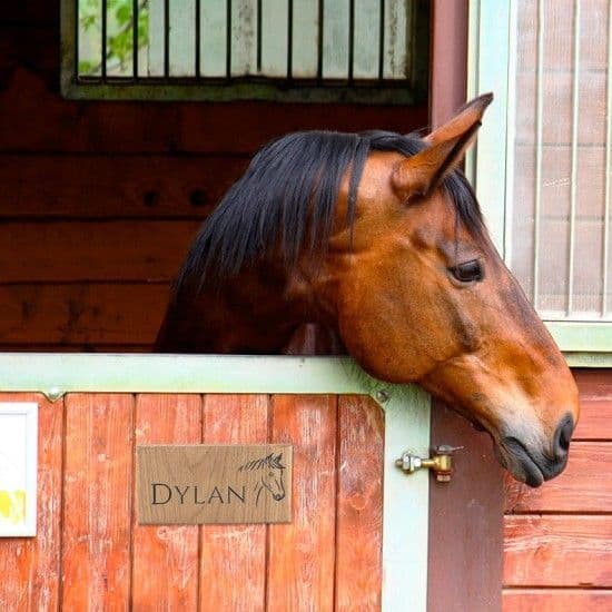 Personalised Oak Horse Name Sign