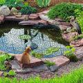 Pond Protect Guards 10pk