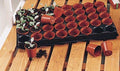 Seed and Cutting Tray